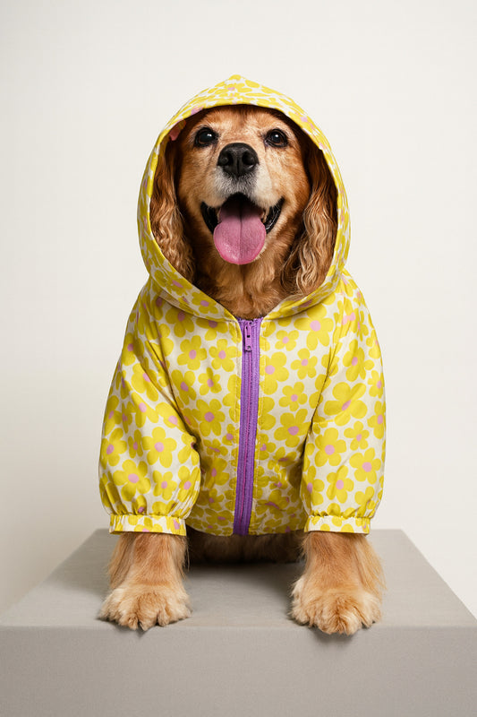 Chaqueta BERNÉS PÉTALOS POP