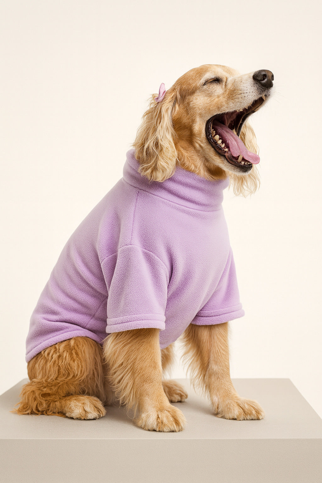 Hoodie COCKER con Cuello Alto Lila