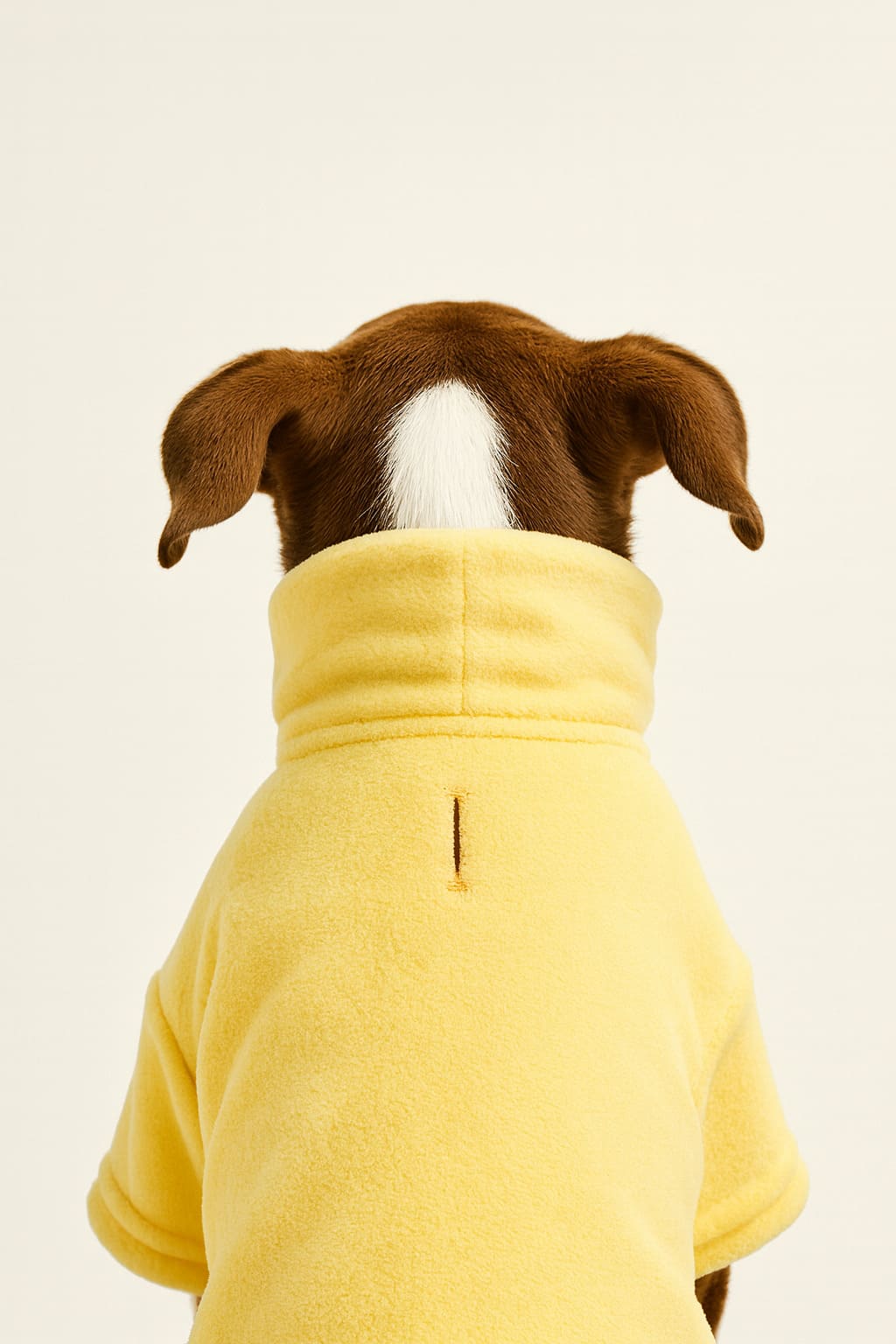 Hoodie COCKER con Cuello Alto Amarillo