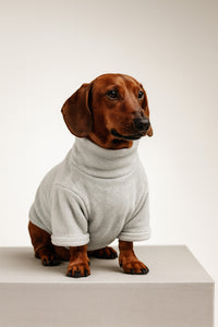 Hoodie COCKER con Cuello Alto Gris