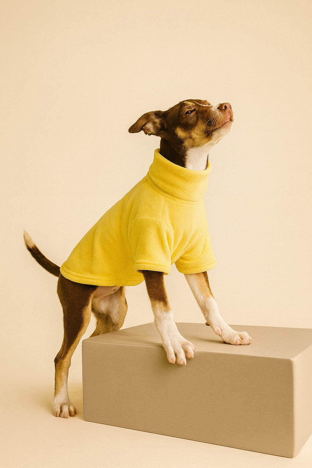 Hoodie COCKER con Cuello Alto Amarillo