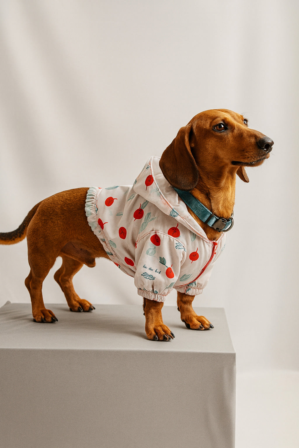 Chaqueta BERENES FEEL THE RUFF