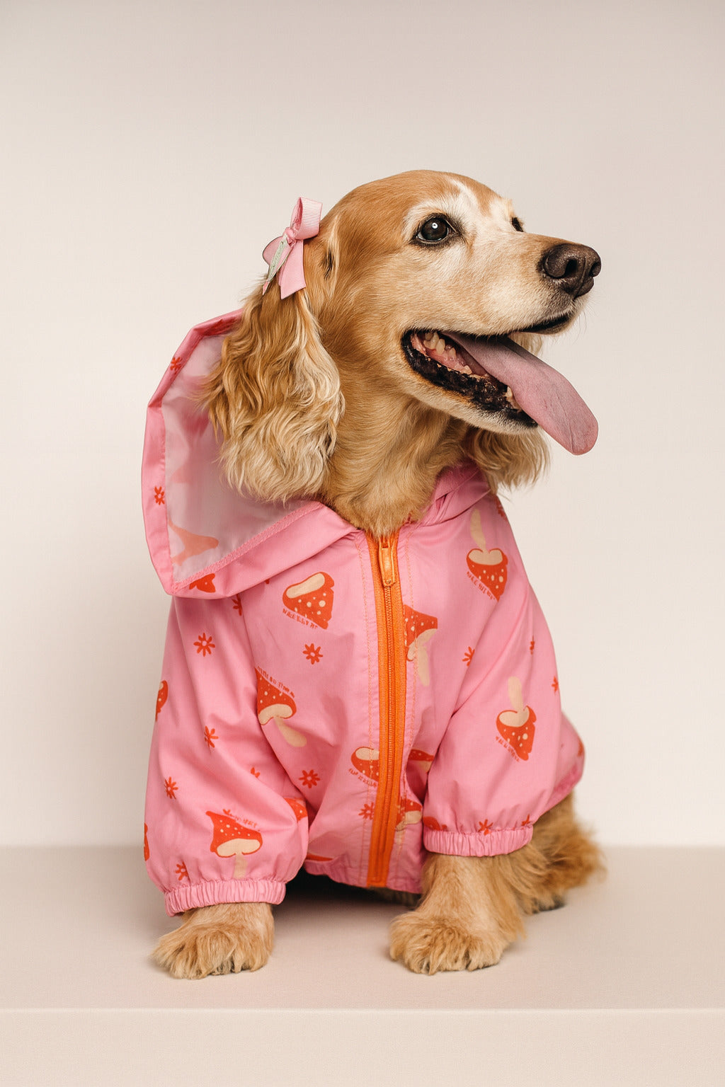 Chaqueta BERENES GOOD RUFF VIBRES