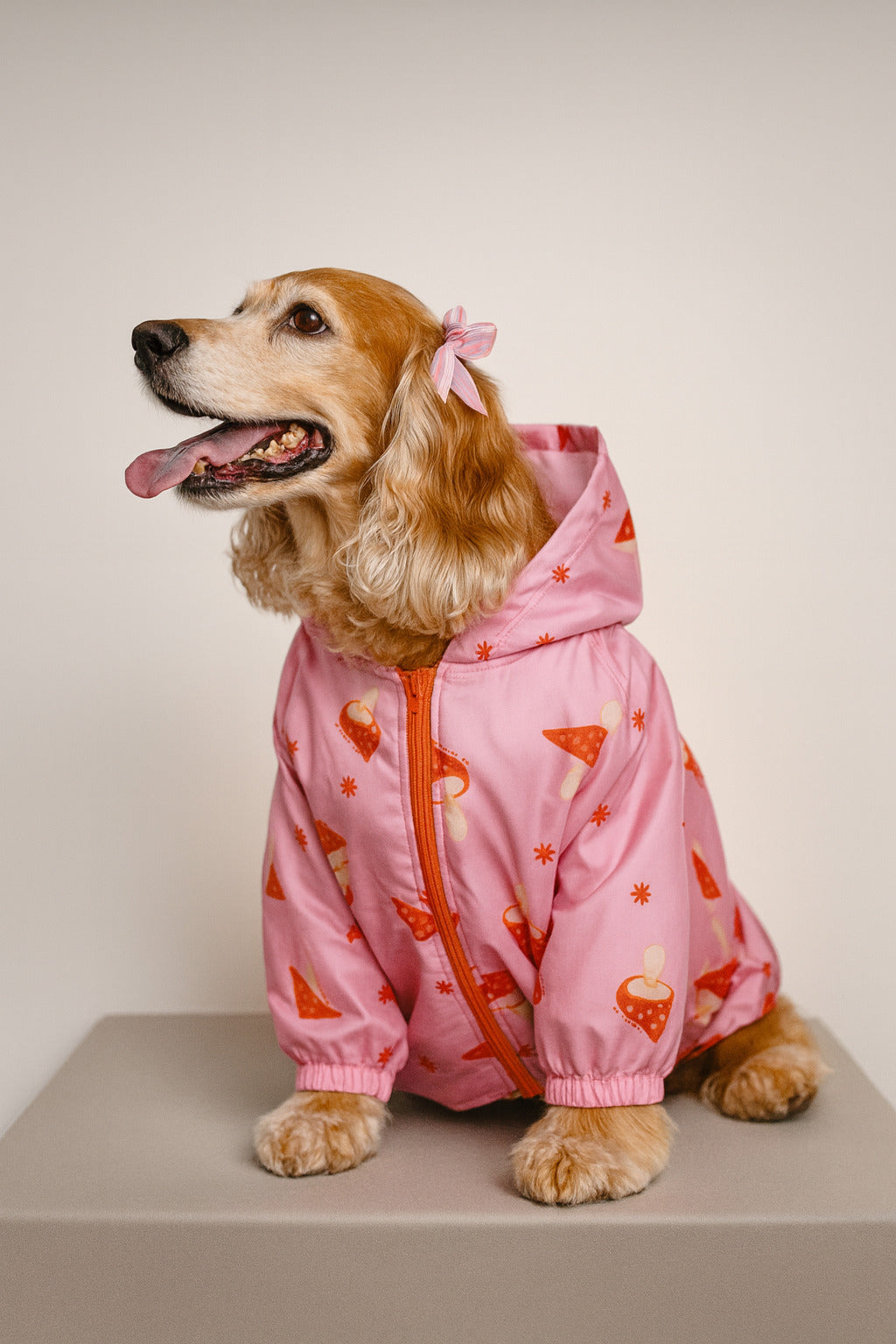 Chaqueta BERENES GOOD RUFF VIBRES