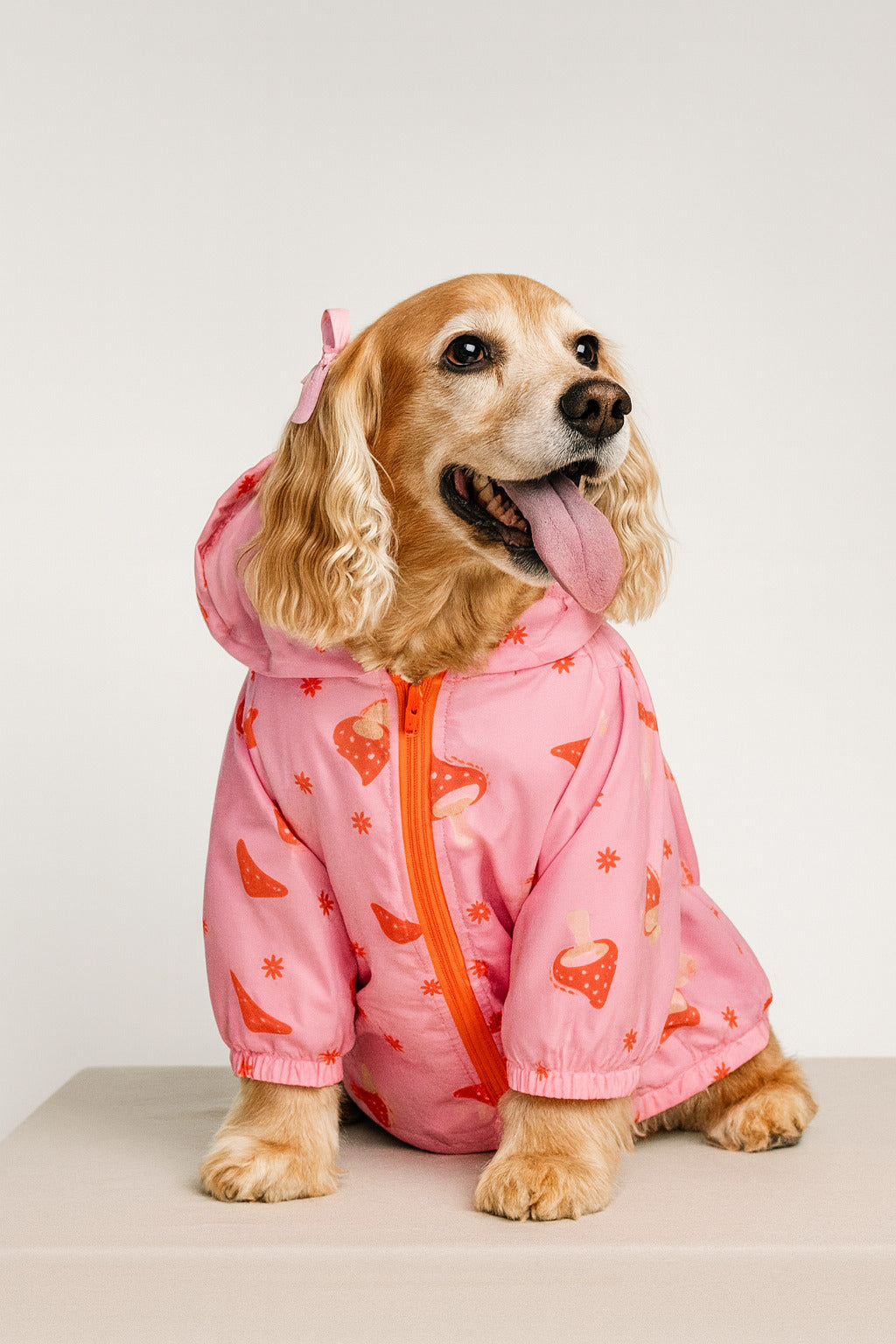 Chaqueta BERENES GOOD RUFF VIBRES