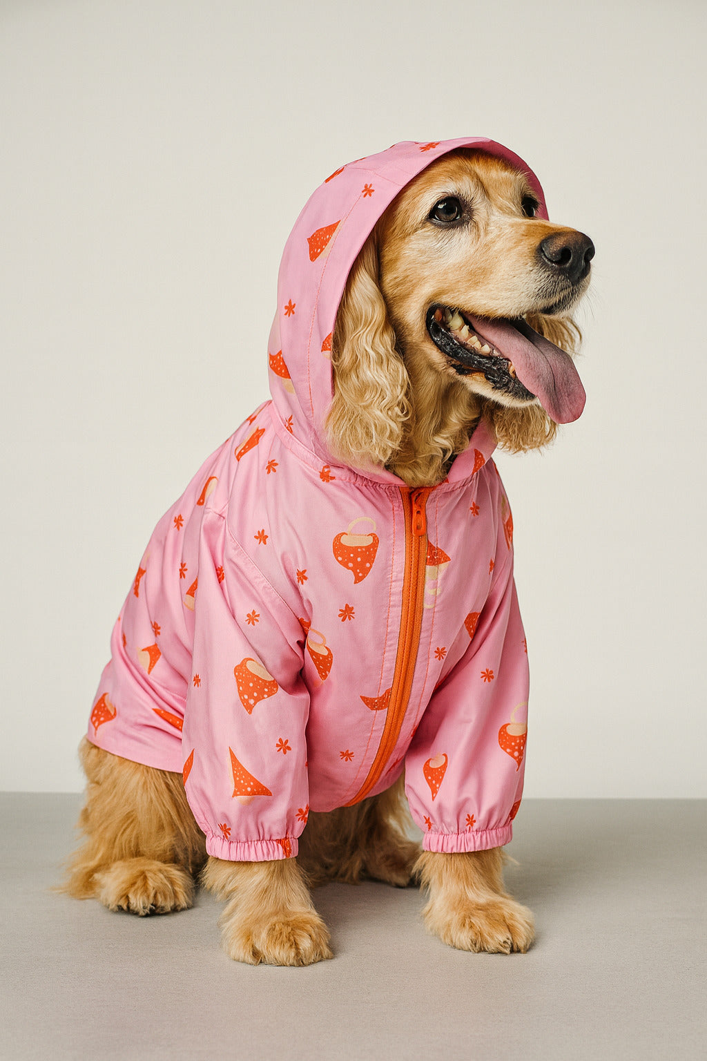 Chaqueta BERENES GOOD RUFF VIBRES