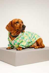 Chaqueta BERENES CUADRO CITRUS