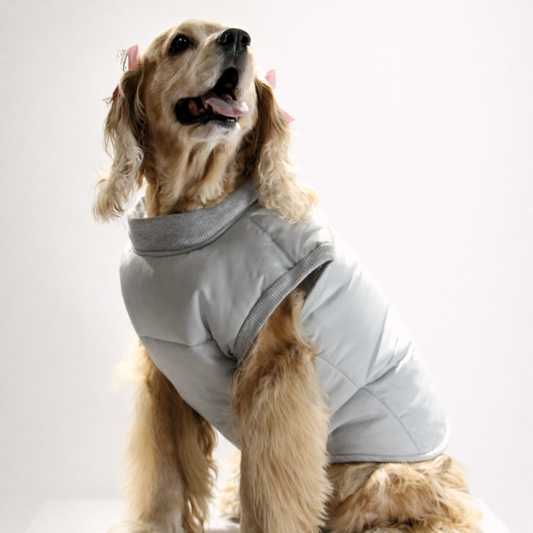 Chaleco TERRIER Gris Acolchado 2-en-1 (Arnés Integrado)