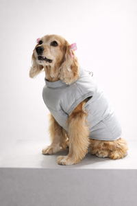 Chaleco TERRIER Gris Acolchado 2-en-1 (Arnés Integrado)