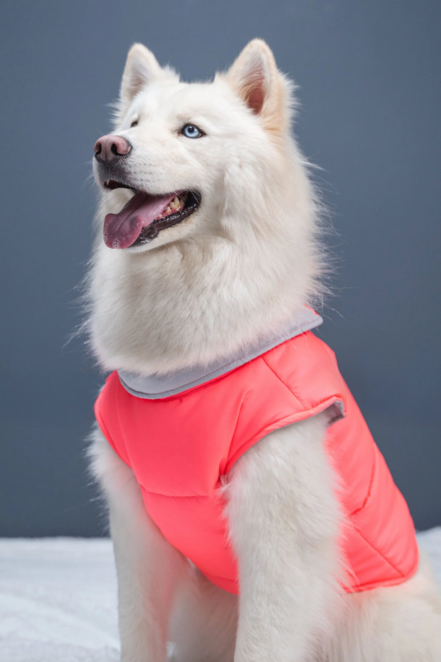 Chaleco RETRIEVER FUCSIA NEÓN Acolchado