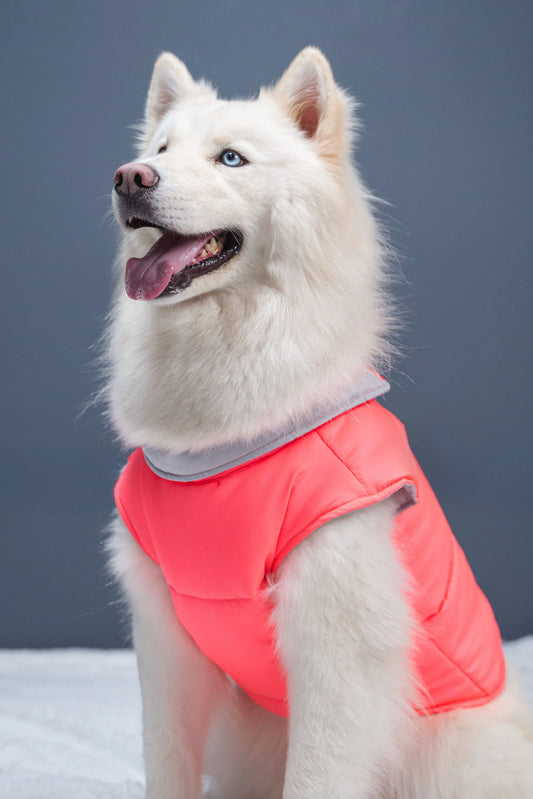 Chaleco RETRIEVER FUCSIA NEÓN Acolchado