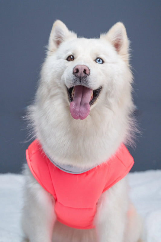 Chaleco RETRIEVER FUCSIA NEÓN Acolchado