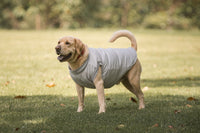 Chaleco TERRIER Gris Acolchado 2-en-1 (Arnés Integrado)