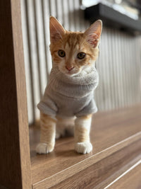 Hoodie COCKER con Cuello Alto Gris