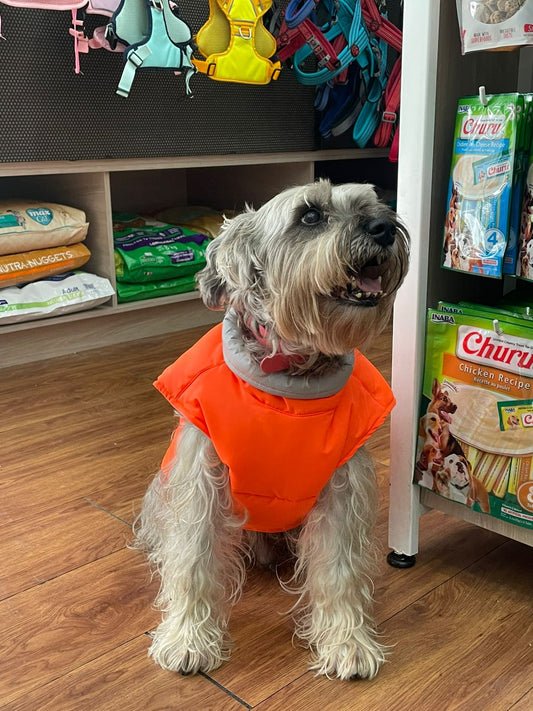 Chaleco RETRIEVER NARANJA NEÓN Acolchado